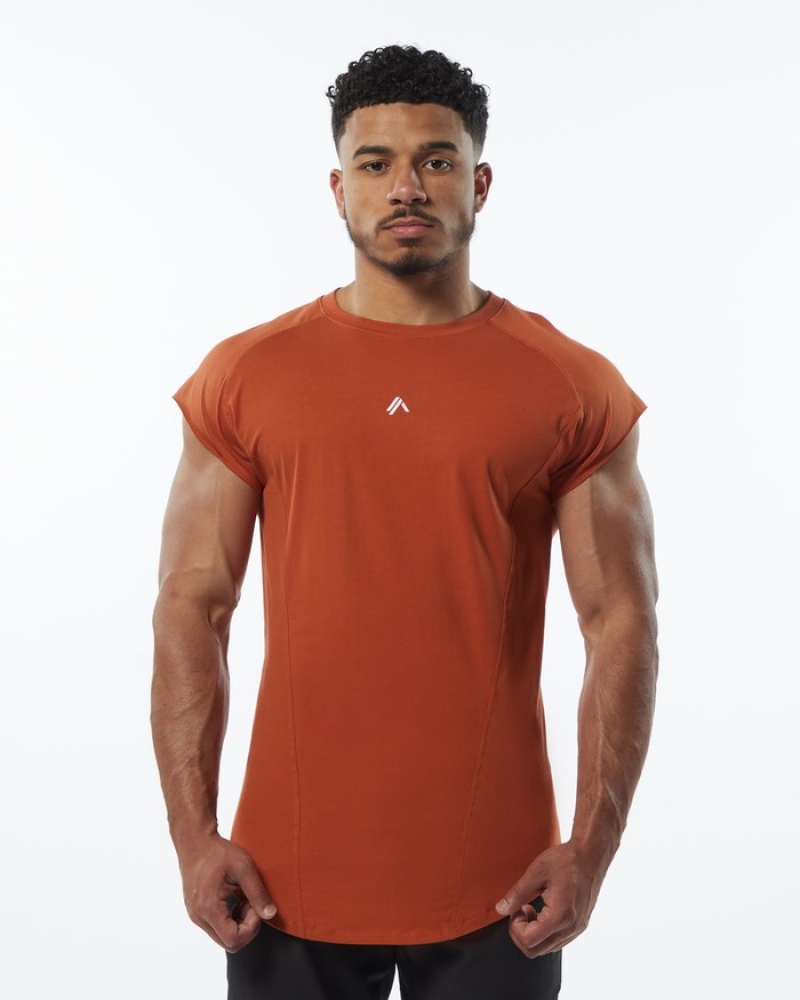 Alphalete Velocity Senza Maniche Uomo Canotta Arancioni | 26AVDMPLB
