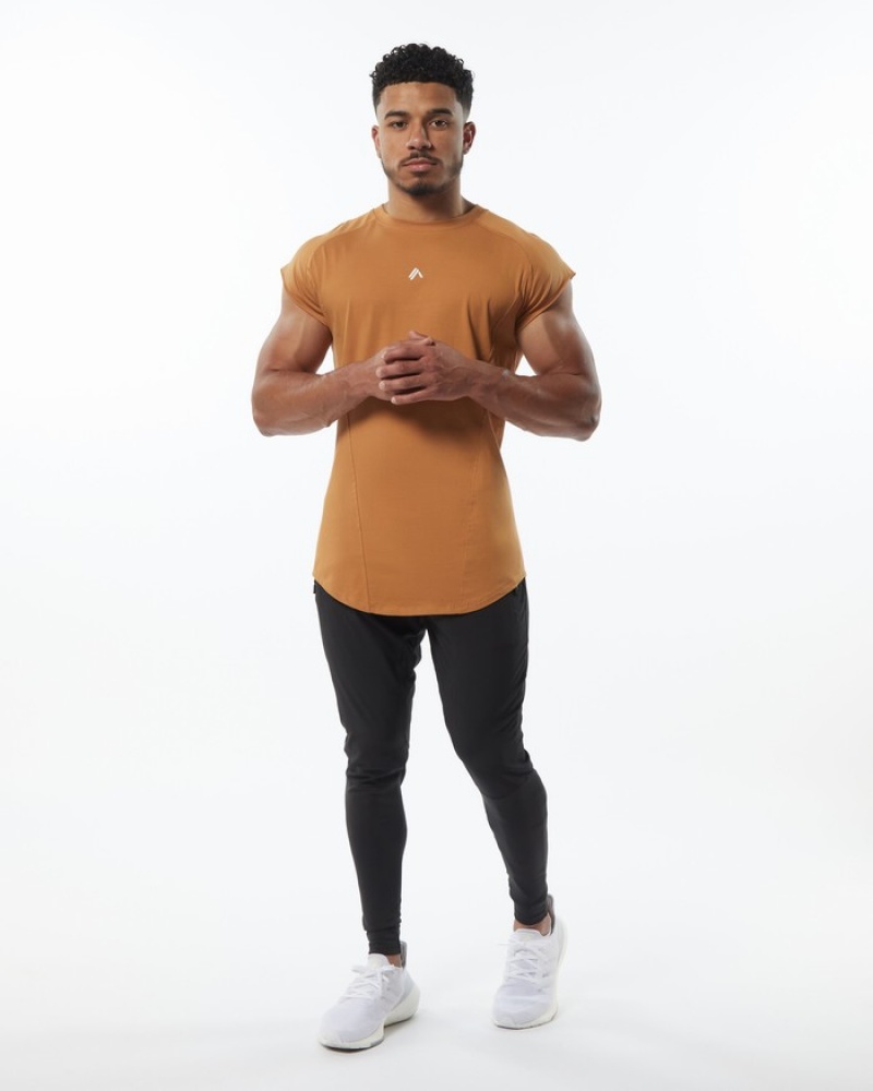 Alphalete Velocity Senza Maniche Uomo Canotta Marroni | 91CPOFXVE