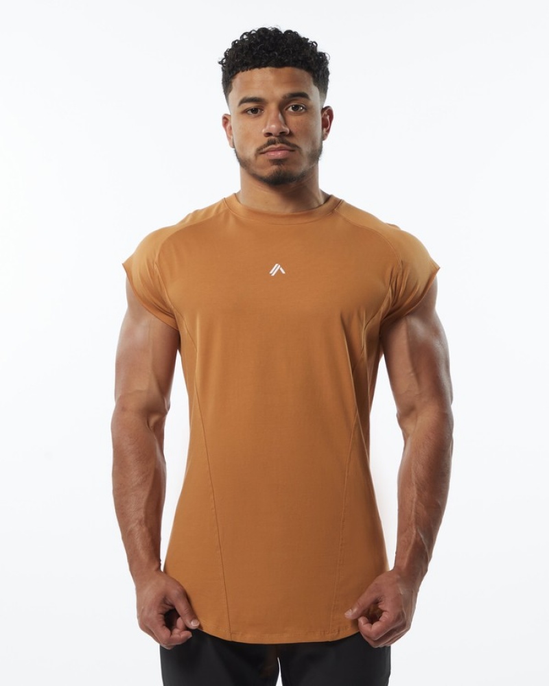 Alphalete Velocity Senza Maniche Uomo Canotta Marroni | 91CPOFXVE