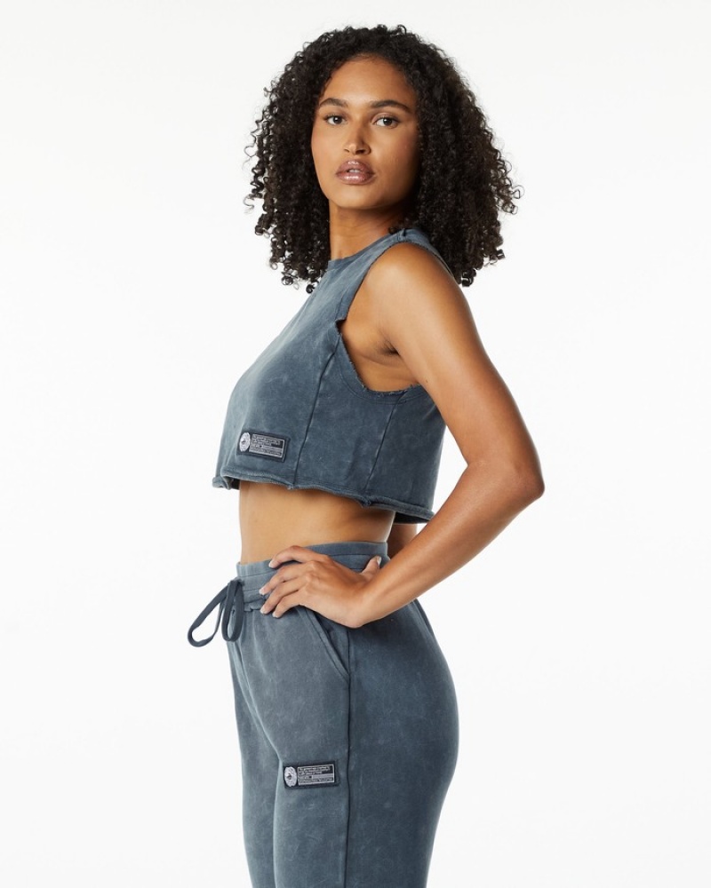 Alphalete Very Terry Crop Cutoff Donna Canotta Blu | 86NHBLJUR