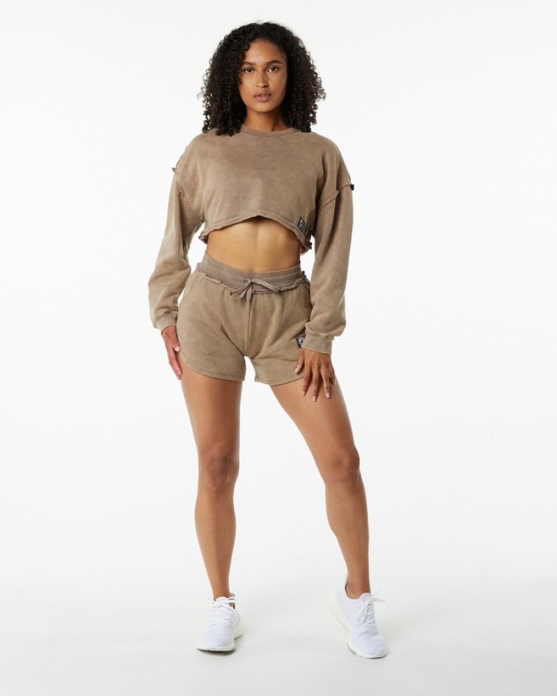 Alphalete Very Terry Crop Pullover Donna Felpa Grigie | 59PTGHWRX