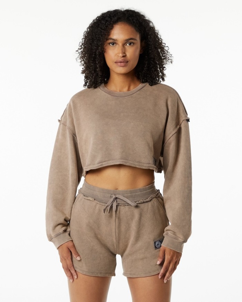 Alphalete Very Terry Crop Pullover Donna Felpa Grigie | 59PTGHWRX