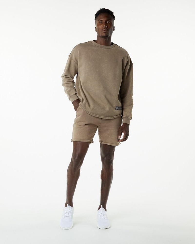 Alphalete Very Terry Pullover Uomo Felpa Grigie | 64SEAPCHM