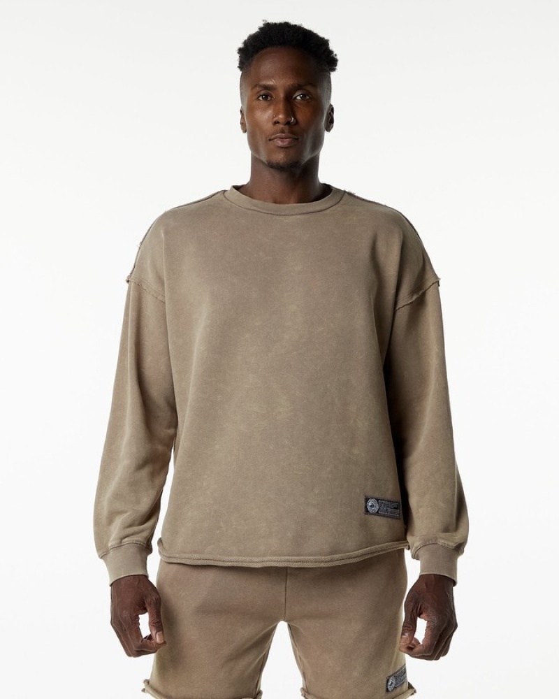 Alphalete Very Terry Pullover Uomo Felpa Grigie | 64SEAPCHM