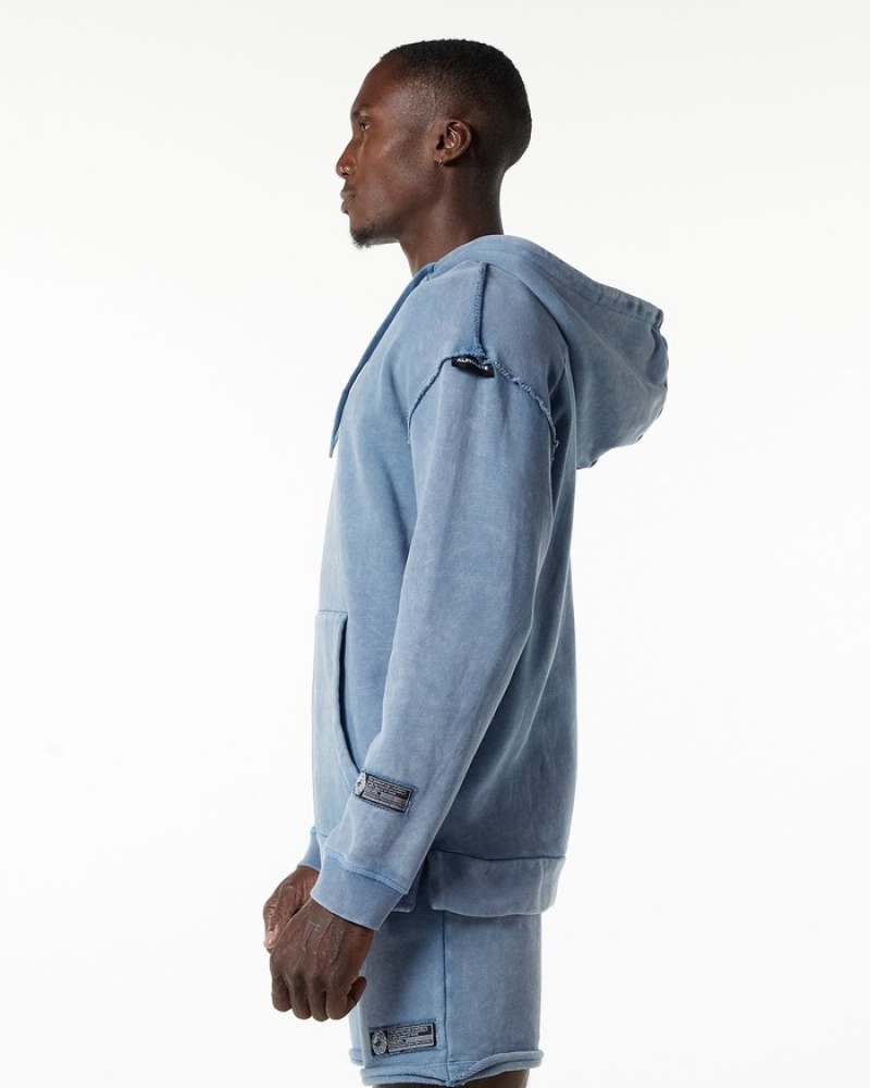 Alphalete Very Terry Uomo Felpa Con Cappuccio Blu | 58NRGXITB