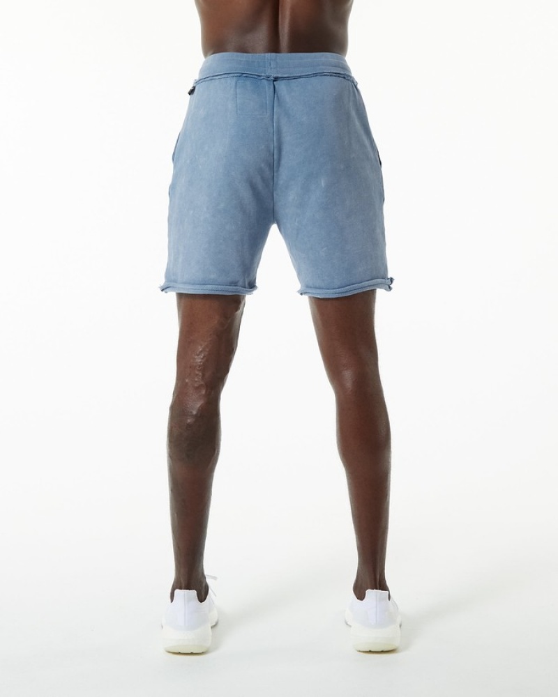 Alphalete Very Terry Uomo Pantaloncini Blu | 79ABKFMGZ