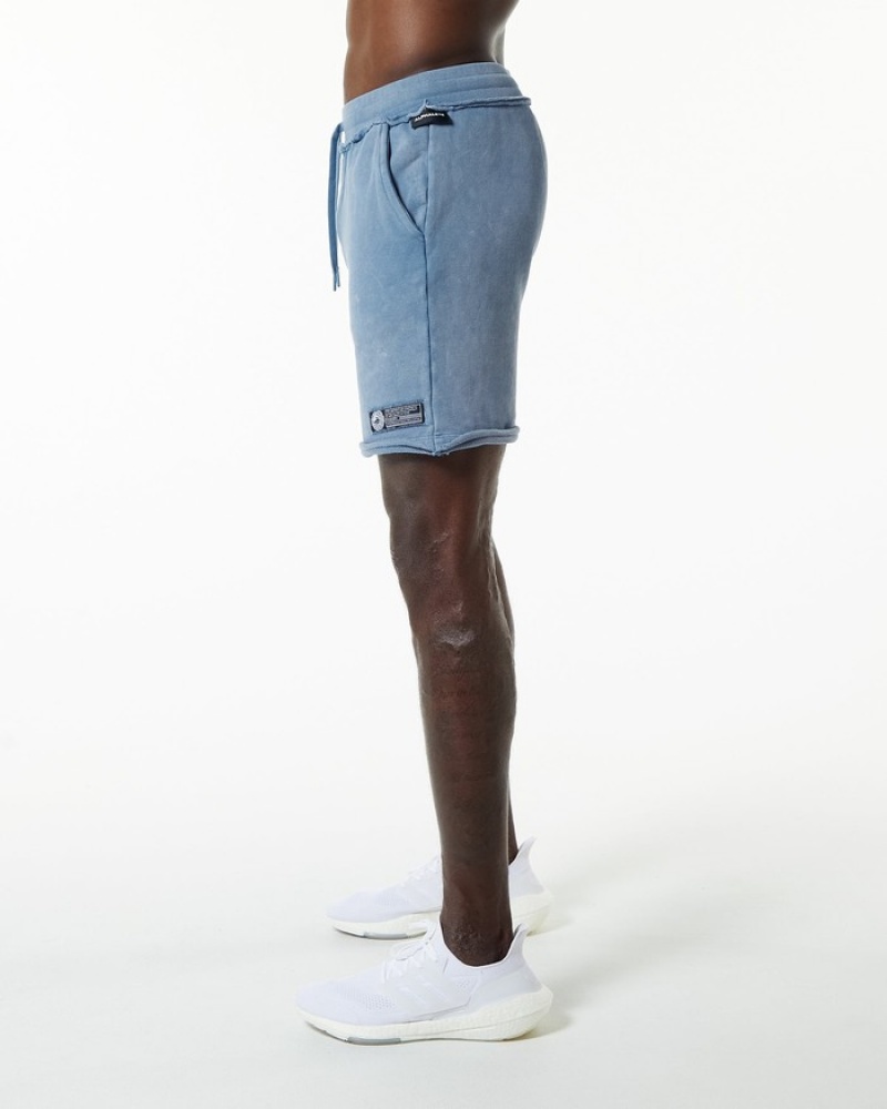 Alphalete Very Terry Uomo Pantaloncini Blu | 79ABKFMGZ
