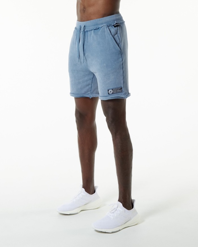 Alphalete Very Terry Uomo Pantaloncini Blu | 79ABKFMGZ