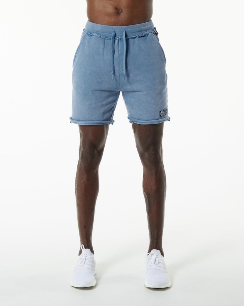 Alphalete Very Terry Uomo Pantaloncini Blu | 79ABKFMGZ