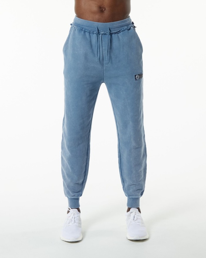 Alphalete Very Terry Uomo Pantaloni Jogger Blu | 03CHVUBLY