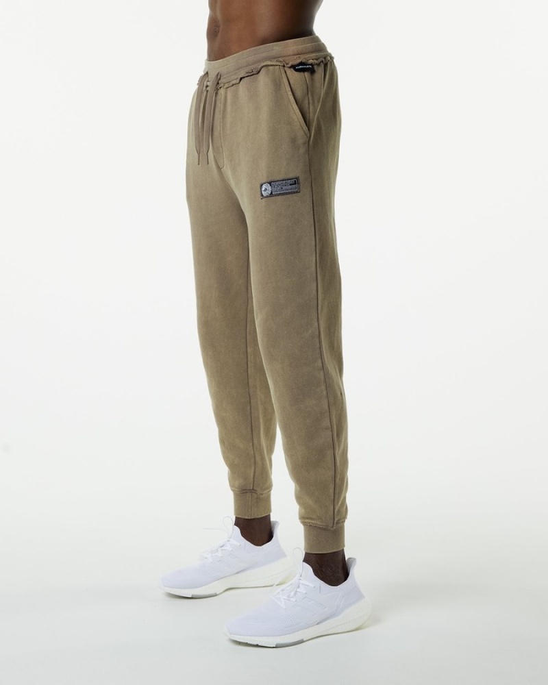 Alphalete Very Terry Uomo Pantaloni Jogger Grigie | 31NPIEXJM