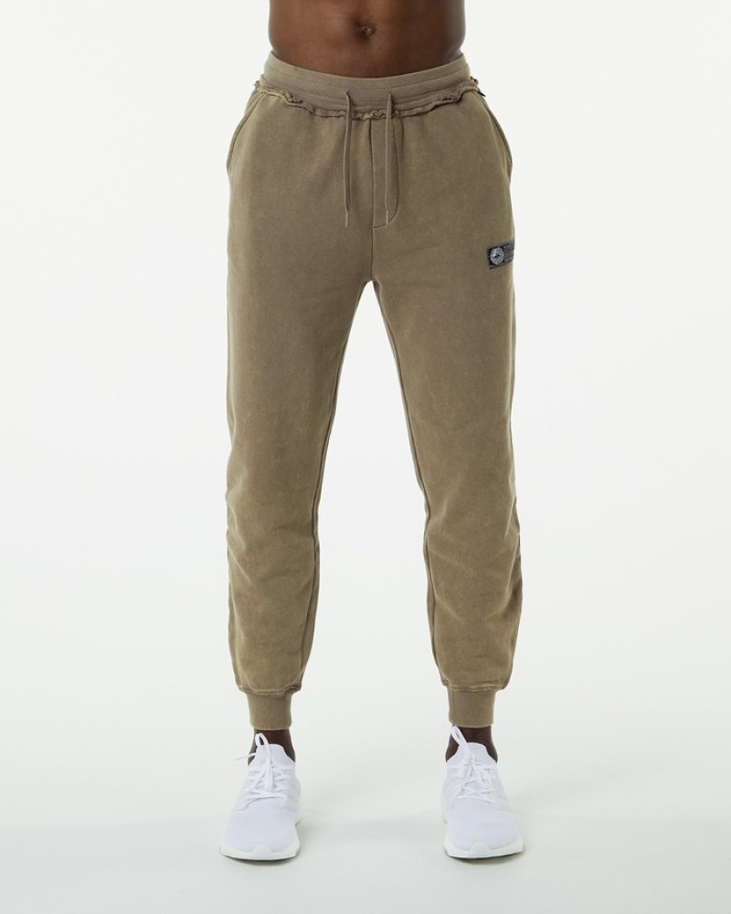 Alphalete Very Terry Uomo Pantaloni Jogger Grigie | 31NPIEXJM