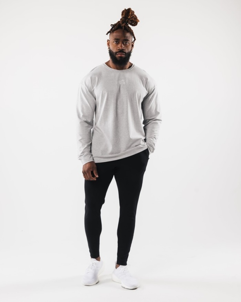 Alphalete Wolf Head LS Uomo Camicie Grigie | 85WYFKBEN