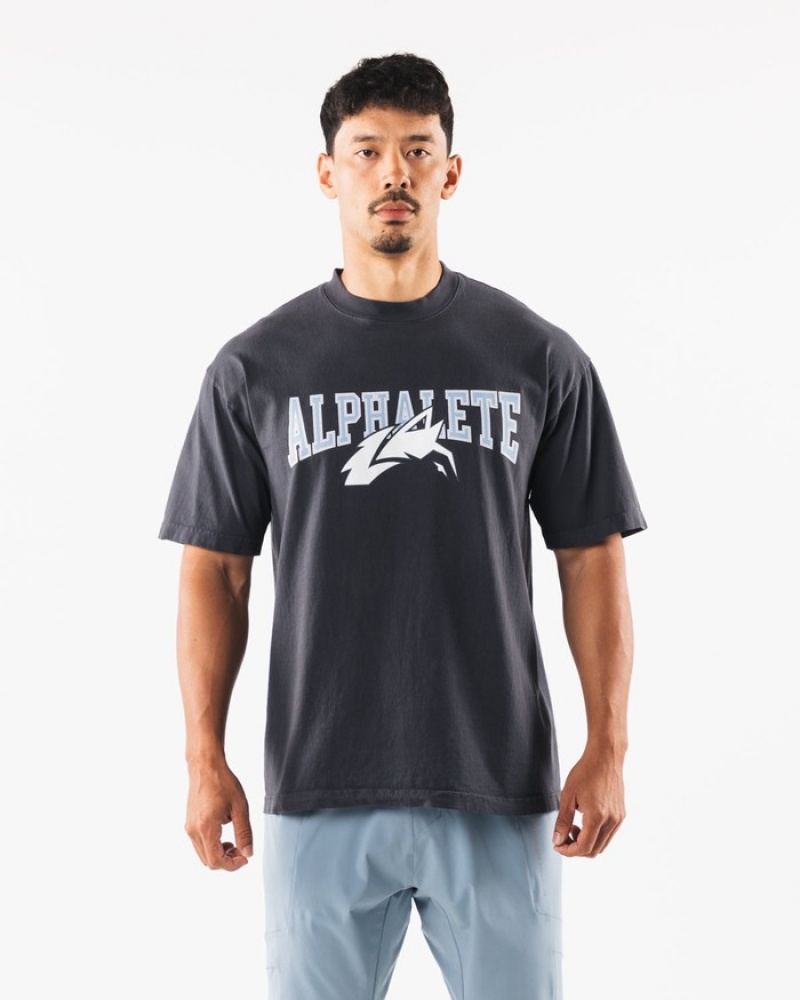 Alphalete Wolf Head Uomo Camicie Blu | 01SHRJQID