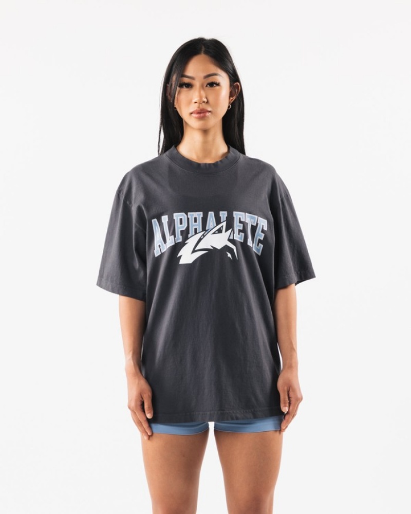 Alphalete Wolf Head Uomo Camicie Blu | 01SHRJQID